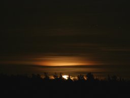 ambiance_3_20131123_1196667712