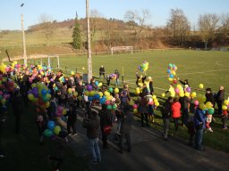telethon-2016_6_20161204_1345761066