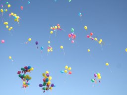 telethon-2016_8_20161204_1486578521