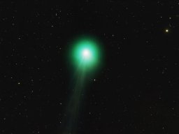 c2014_q2_lovejoy__1_20151016_2038218239