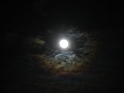 halo_1_20190308_1896338612