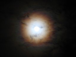 halo_3_20190308_1998172018