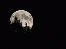 leve_de_lune_sur_les_vosges_1_20190622_1693604760