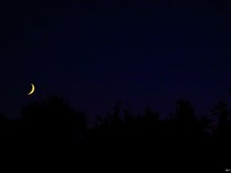 lune_couchante_1_20161025_1752780785
